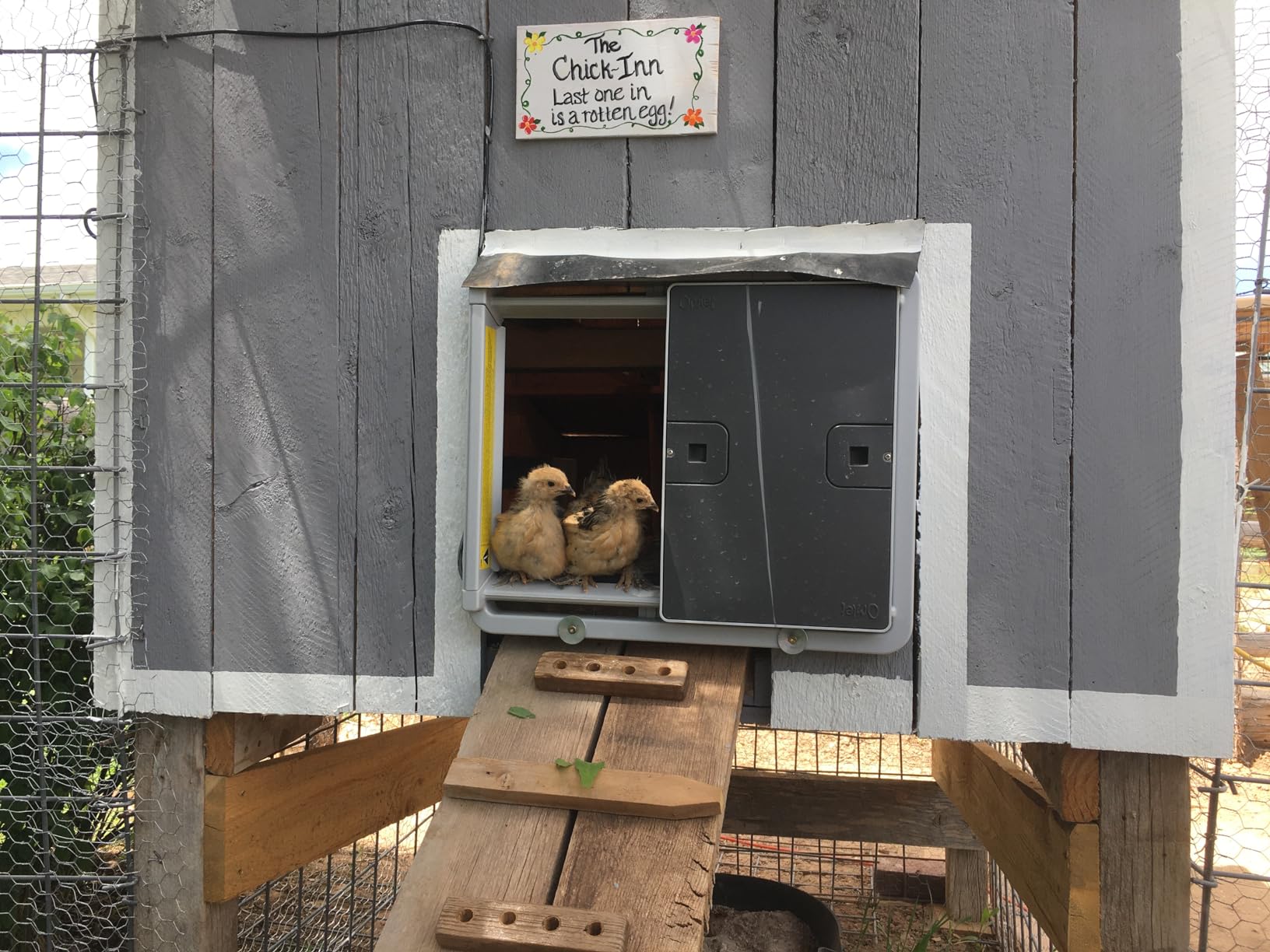 Omlet Smart Automatic Chicken Coop Door Opener | WiFi & App Control | Light Sensor or Timer | Built-in Safety Sensors | Weatherproof | Battery or Plug-in Power | Alexa & Google Home Compatible | Grey customer photo 2