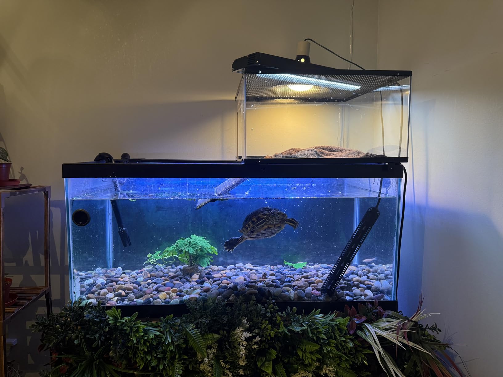 AQQA LED Aquarium Light, 24/7 Mode IP68 Waterproof Extendable Bracket Fish Tank Light, DIY Mode Full Spectrum Aquarium Plant Light, Adjustable Timer/Brightness Memory Function for 18-24 Inch Fish Tank customer photo 1