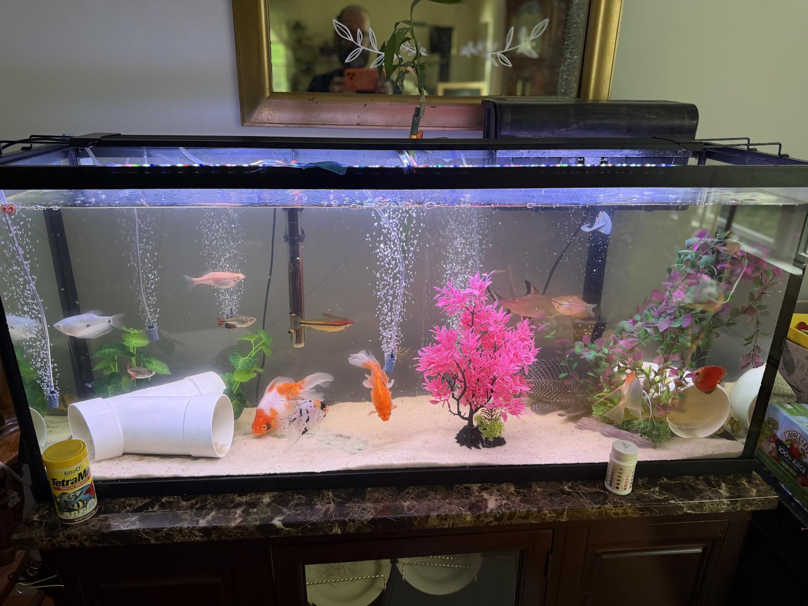 AQQA LED Aquarium Light, 24/7 Mode IP68 Waterproof Extendable Bracket Fish Tank Light, DIY Mode Full Spectrum Aquarium Plant Light, Adjustable Timer/Brightness Memory Function for 18-24 Inch Fish Tank customer photo 2