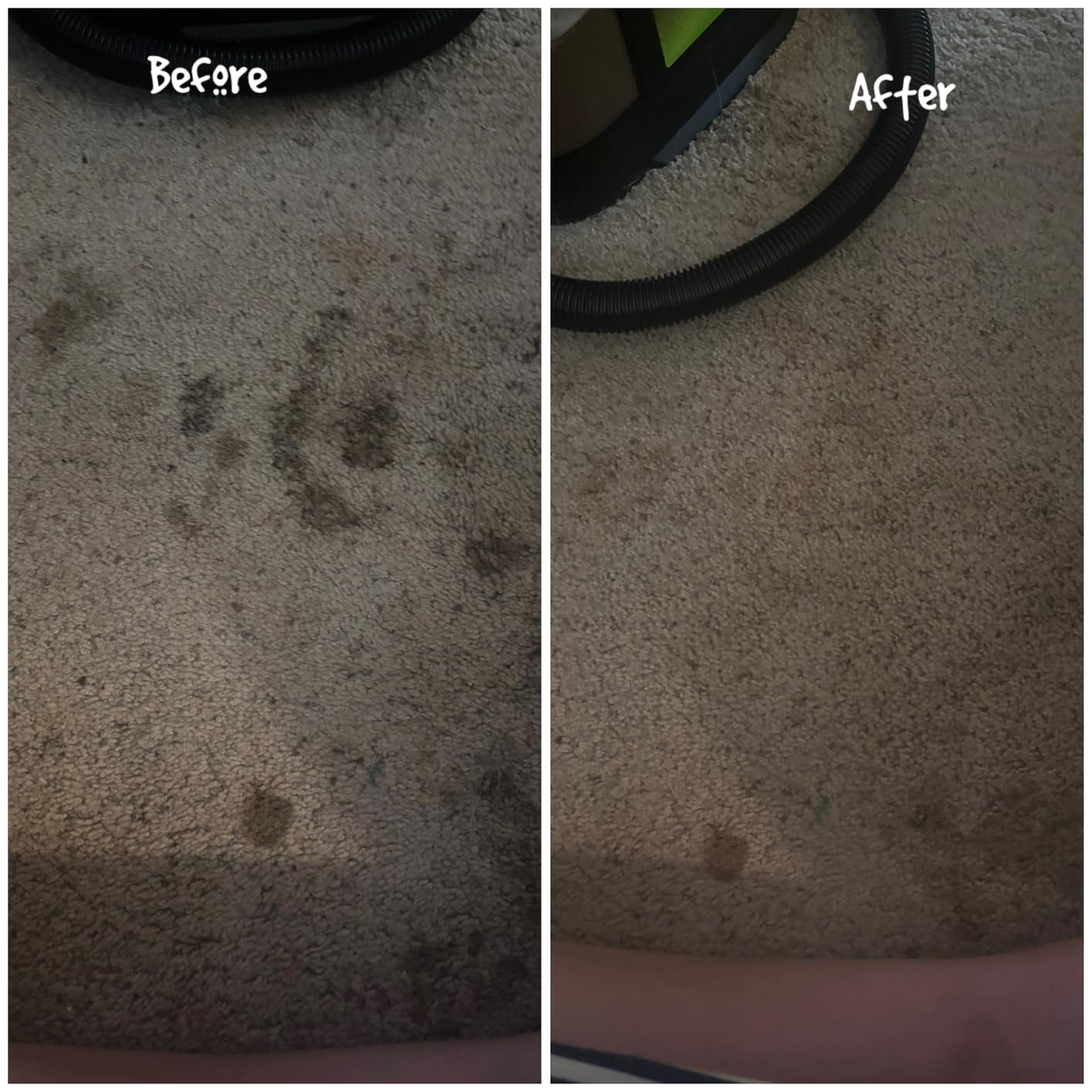 BISSELL Little Green Max Pet SmartMix Portable Carpet and Upholstery Deep Cleaner with SmartMix Technology, Self-Cleaning Tough Stain Tool and Pet Hair Removal Tool, 38572 customer photo 1