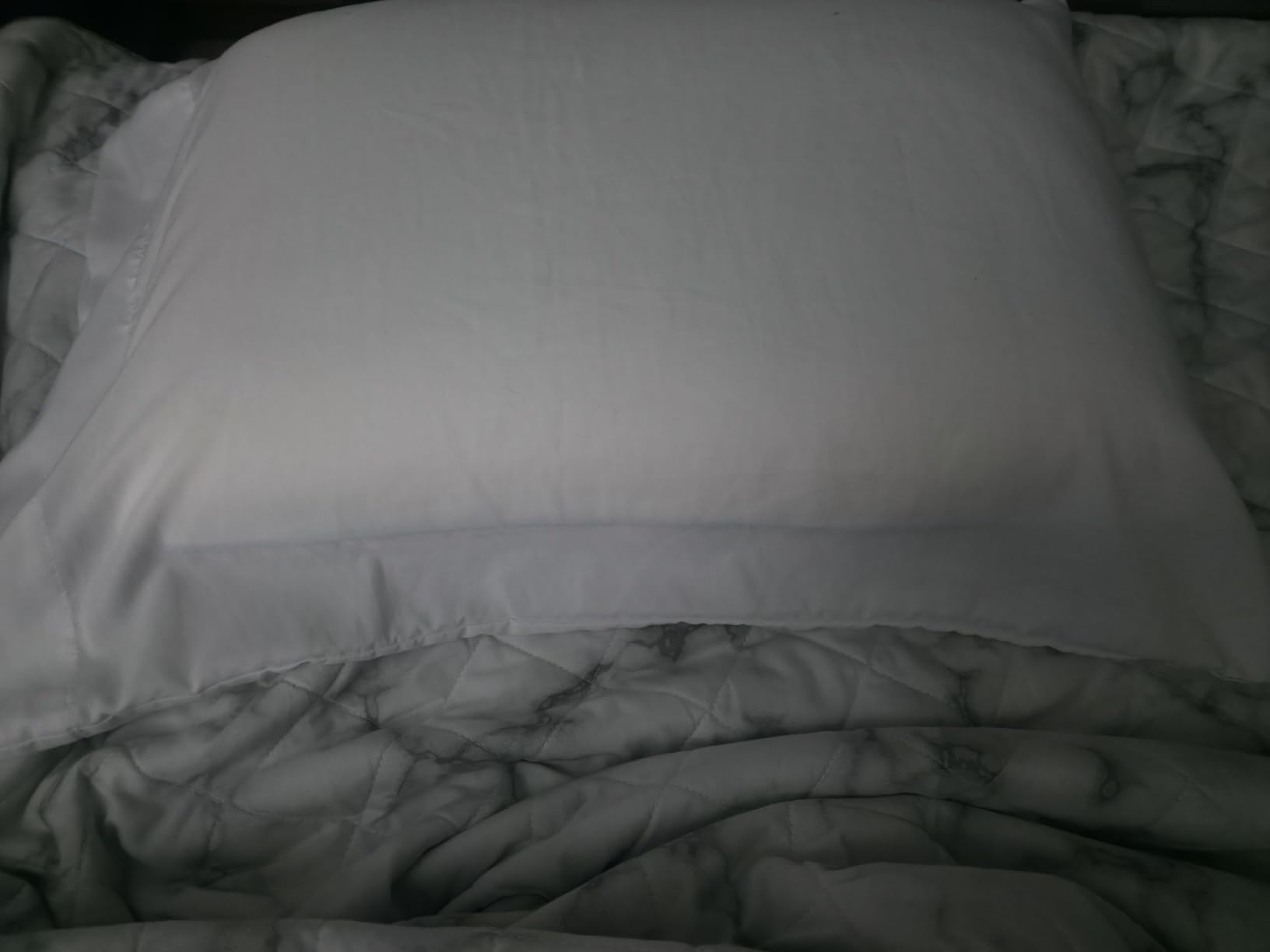 Sealy Dreamlife Queen Size Memory Foam Cooling Pillow with Surface Guard Technology, Removable Machine-Washable Cover, 1 Year Limited Warranty, White (2 Pack) customer photo 2