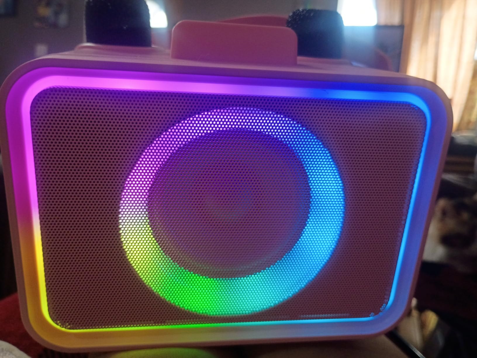 Karaoke Machine, Portable Bluetooth Speaker with 2 Wireless Microphone for Adults & Kids with LED Lights, Karaoke Microphone, Supports USB/TF/AUX, Party (Black) customer photo 2