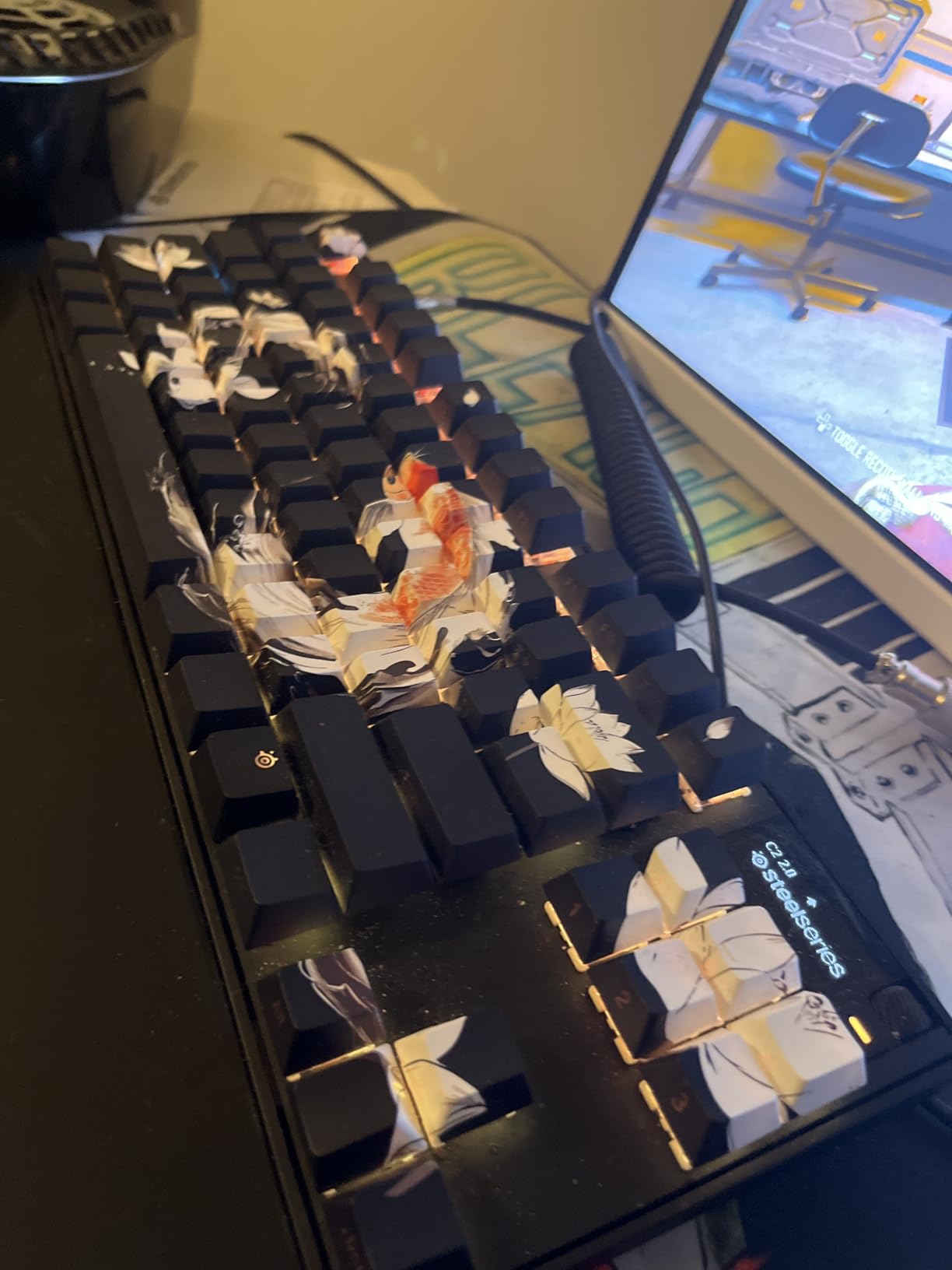 SteelSeries Apex Pro TKL Gen 3 OmniPoint 3.0 HyperMagnetic Switches - Adjustable Actuation, Rapid Trigger, Game-Ready Presets, OLED, RGB, PBT Keycaps, USB-C customer photo 1
