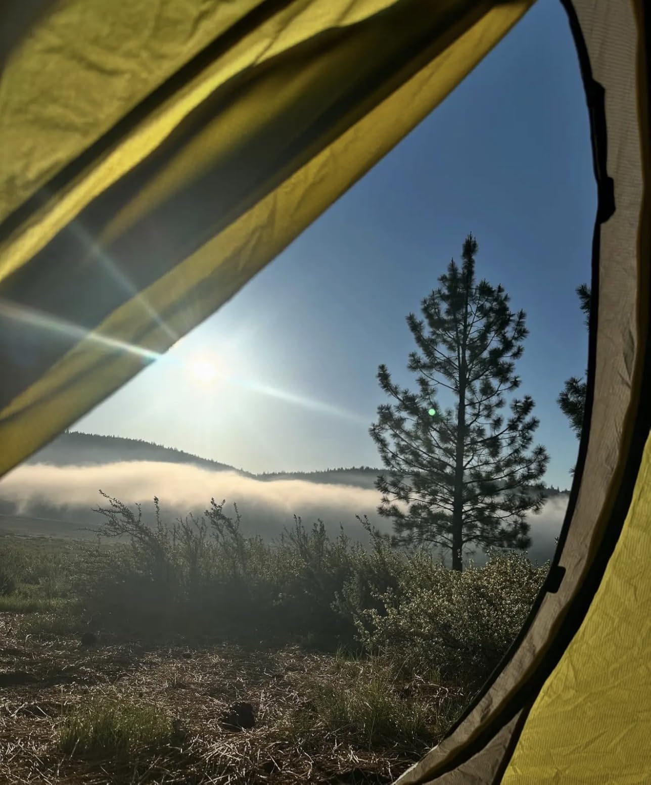 Nemo Dagger OSMO Lightweight Backpacking Tent customer photo 1