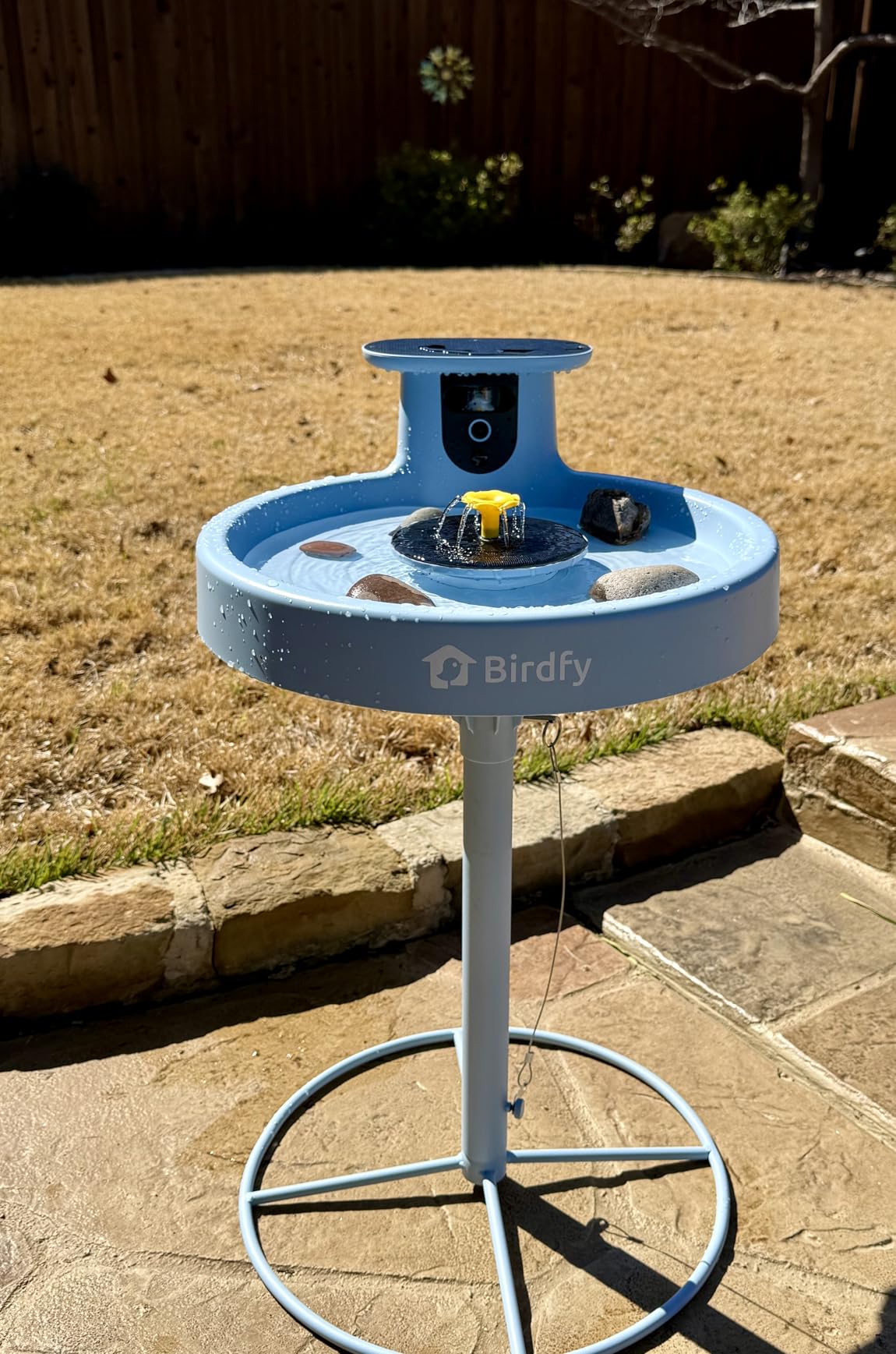 Birdfy Smart Bird Bath with Camera Solar Powered & Fountain & Stand, Dual-Lens Camera for Wildbird Watching, Auto Capture Bird Videos & Motion Detection (AI Lifetime) customer photo 2