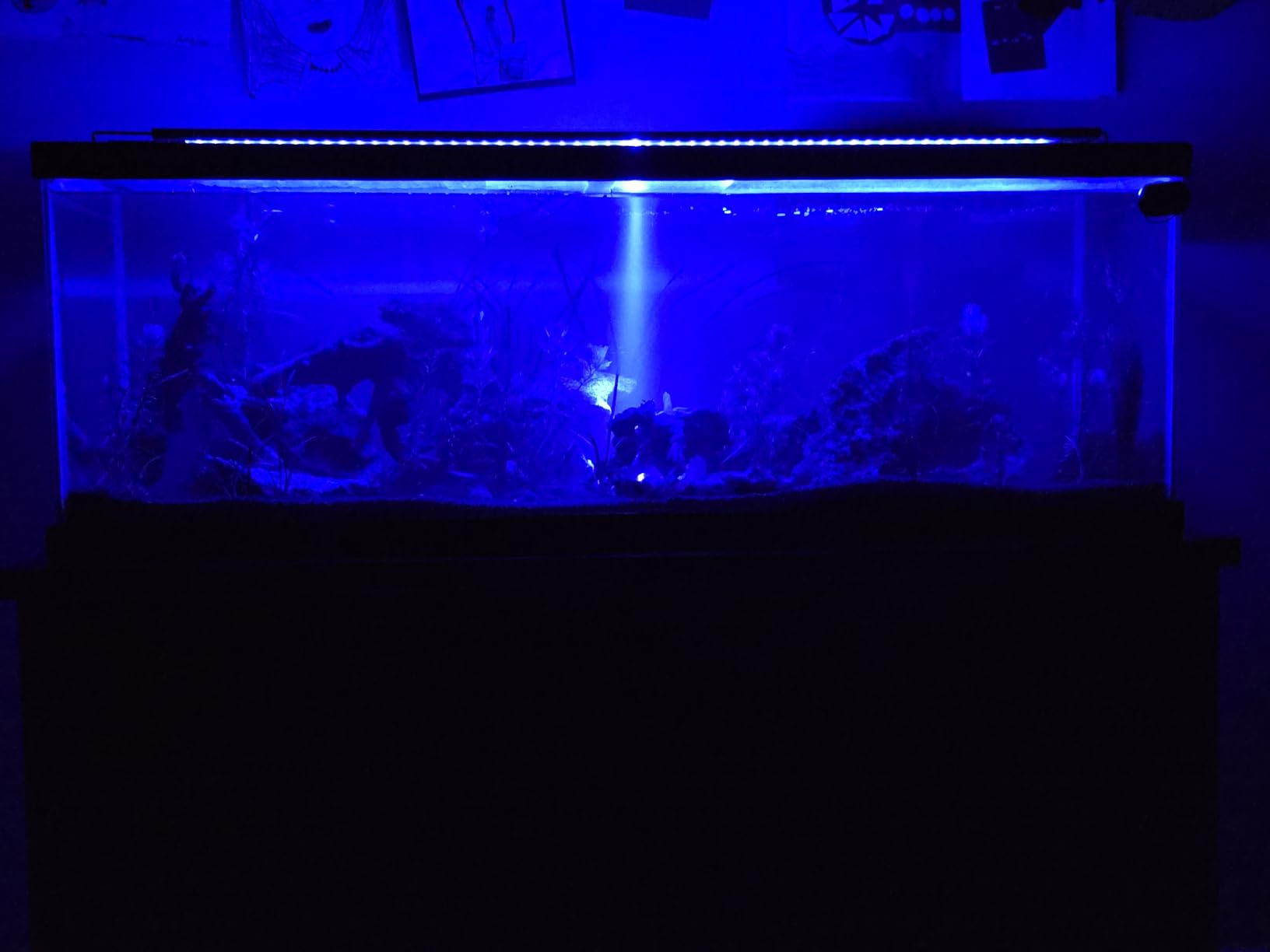 GLOWRIUM LED Aquarium Light with Remote, Full Spectrum Fish Tank Light with Auto Timer, IP67 Waterproof Freshwater Planted Tank Light, Dimmable RGB+W+Moon LEDs with High Performance (30-35inch) customer photo 2