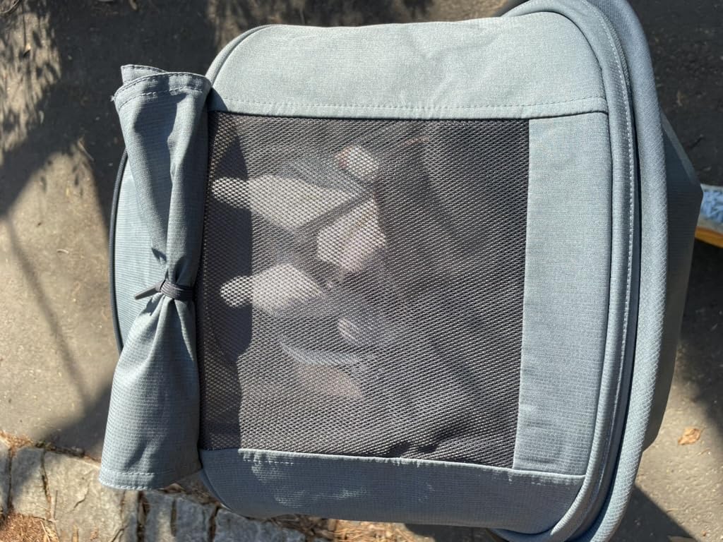 UPPAbaby Minu V3 Travel Stroller | Lightweight + Compact Design | One-Hand Fold + Unfold | from Birth + Overhead Compatible | Dillan (Stone Blue/Carbon Frame/Sand Leather) customer photo 1