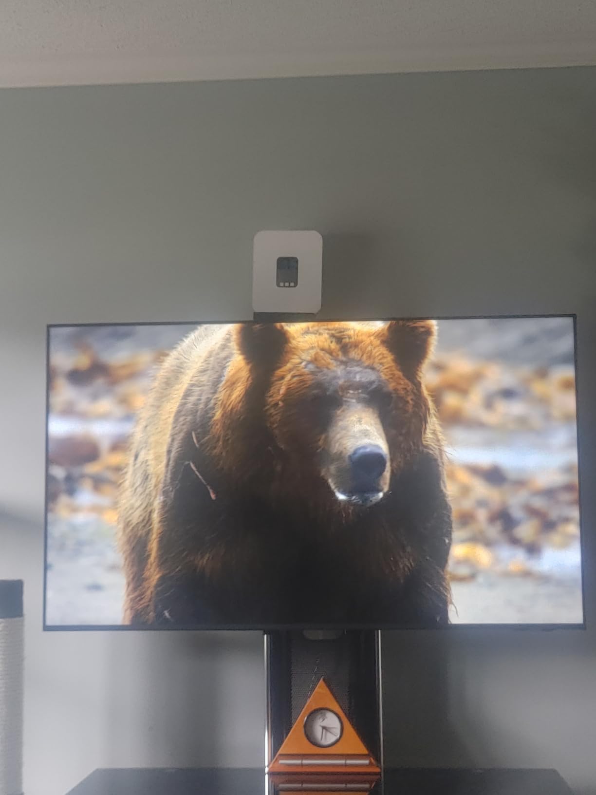 75-Inch Class Crystal UHD U8000F 4K Smart TV (2025 Model) Endless Free Content, Crystal Processor, MetalStream Design, Knox Security, Alexa Built-in customer photo 1