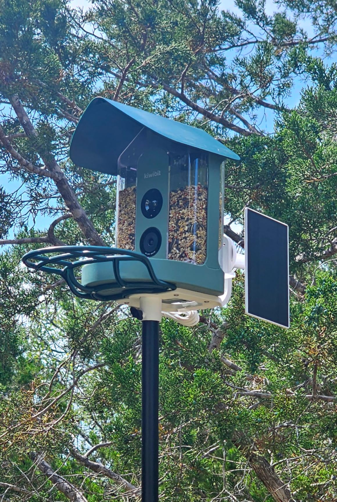 Kiwibit Smart Bird Feeder with Camera Solar Powered, 4K Video Live stream, Wireless Outdoors Bird Camera, AI Identification Bird Species, Real-Time Bird Alert, Birdwatching Gift for Bird Lovers, Green customer photo 1