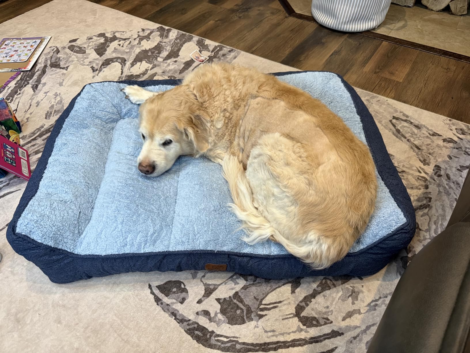 Bedsure SupportMax™ XL Orthopedic Dog Beds Large Sized Dog - Extra Thick Supportive Dogs Couch with Waterproof Washable Cover, Extra Large Comfort Pet Sofa with Soft Sherpa & Nonskid Bottom, Grey, 42