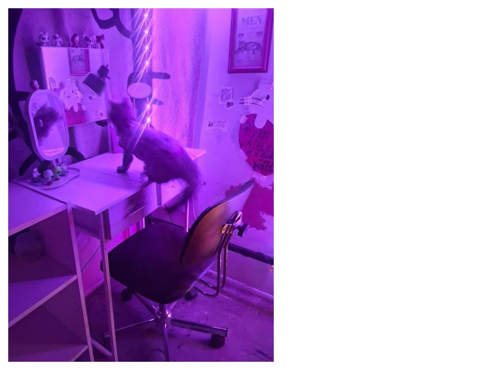Jakyitvi Small Vanity Desk with Mirror and Drawers, White Makeup Vanity Table with Storage, Compact Vanity for Bedroom, Modern Makeup Desk for Girls, Space-Saving Vanity Table customer photo 2