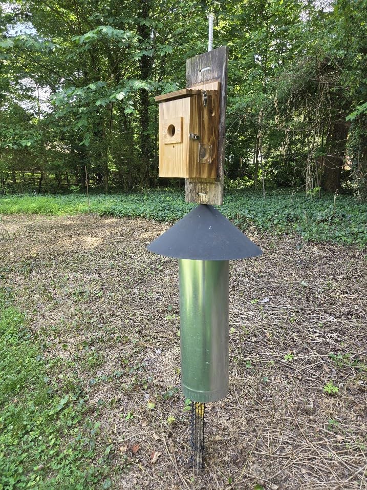 Bird House with Camera Solar Powered, 2K HD Wi-Fi Bird Watching, Auto Detect & Notify, Night Vision, APP Control, Birdhouse for Small Birds Nesting, Wooden Birdhouse with Cam Inside (Solar-Powered) customer photo 1