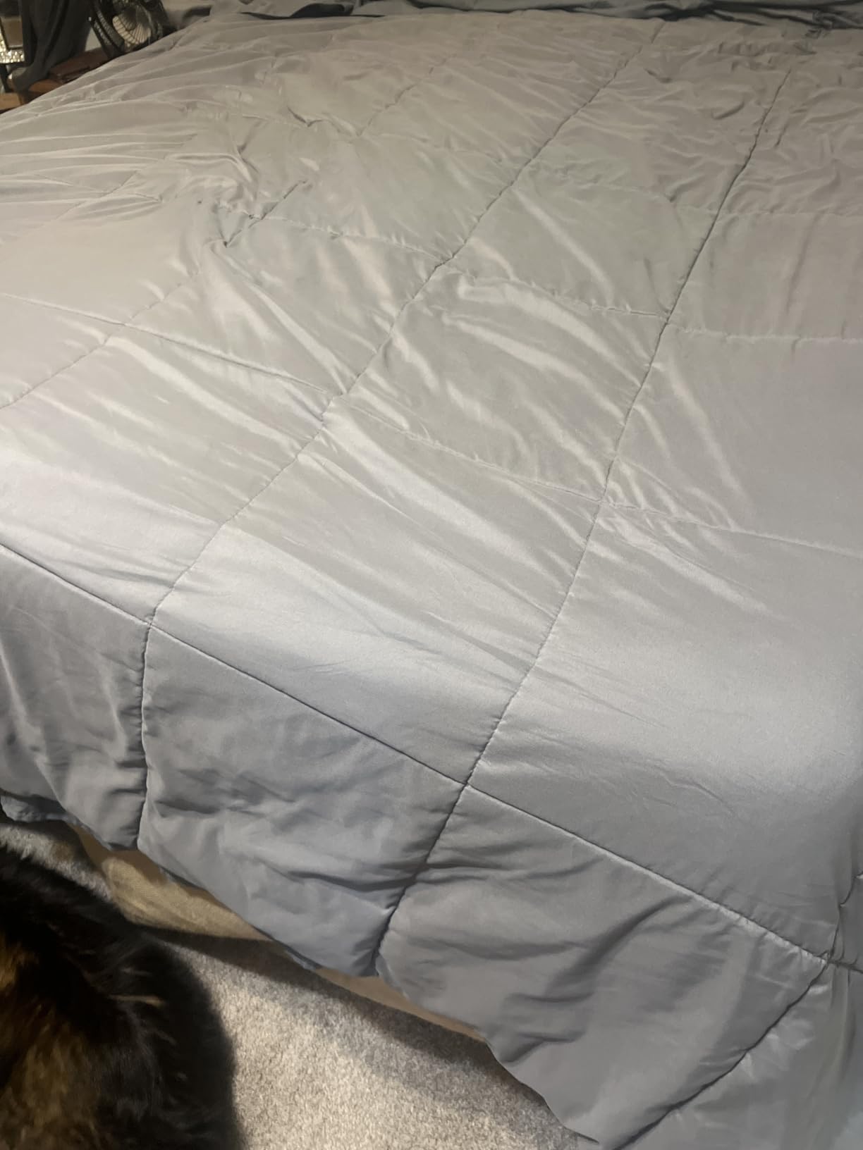 Beautyrest Prime Dream Plush 13.75