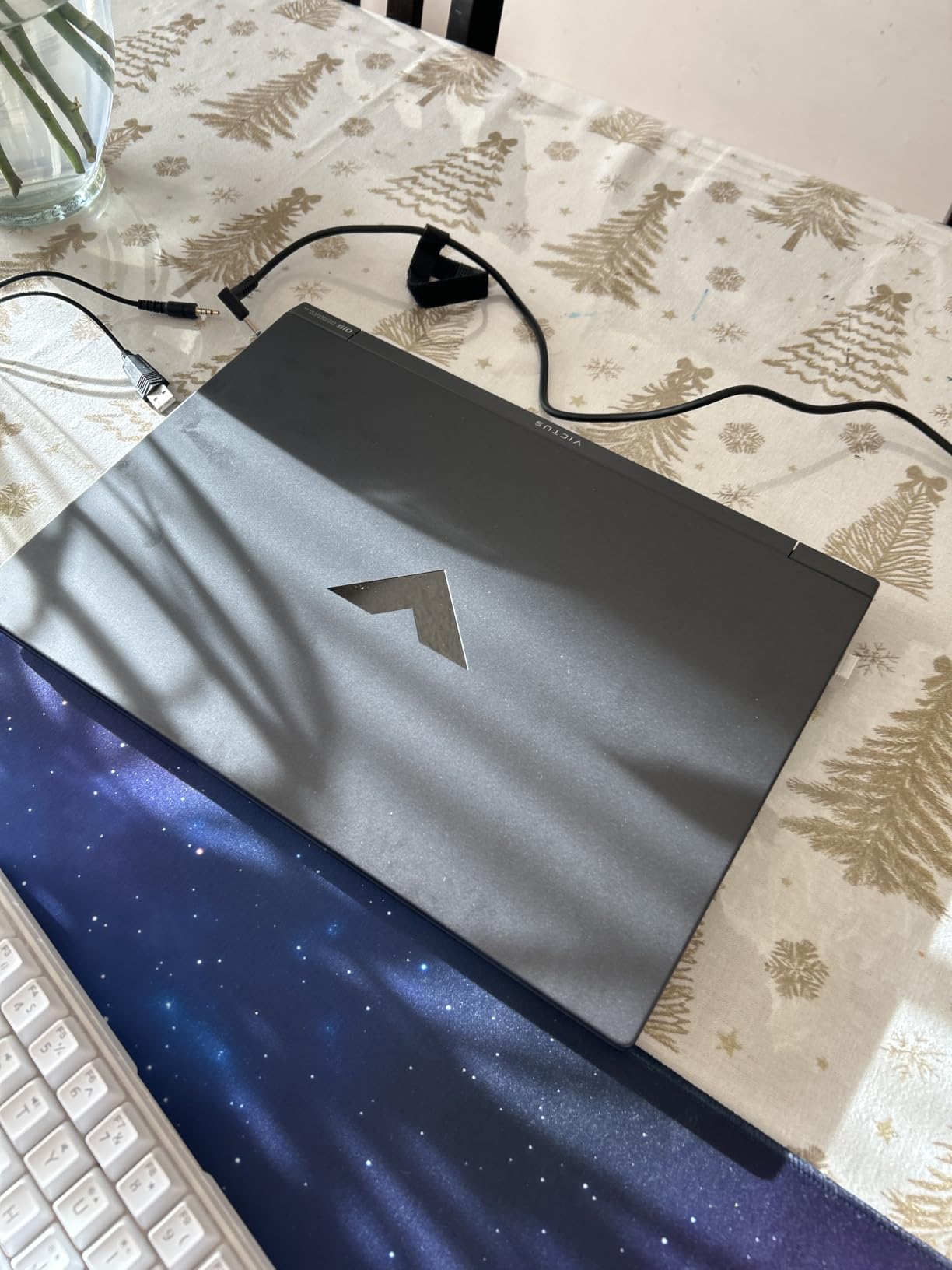 HP Victus 15.6