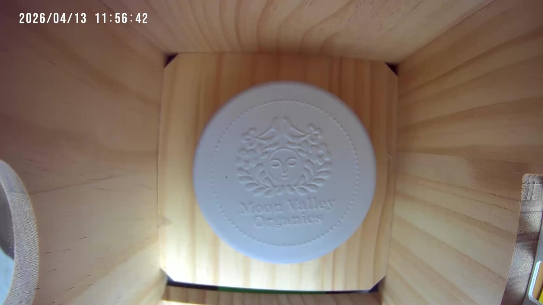 Solar Bird House with Camera - 2K HD Wooden Smart Birdnest Watch Birds Nesting & Hatching in Real Time, 2.4G WiFi with Camera Inside AI Identify Bird Behavior, Ideal Gift for Bird Lovers customer photo 2