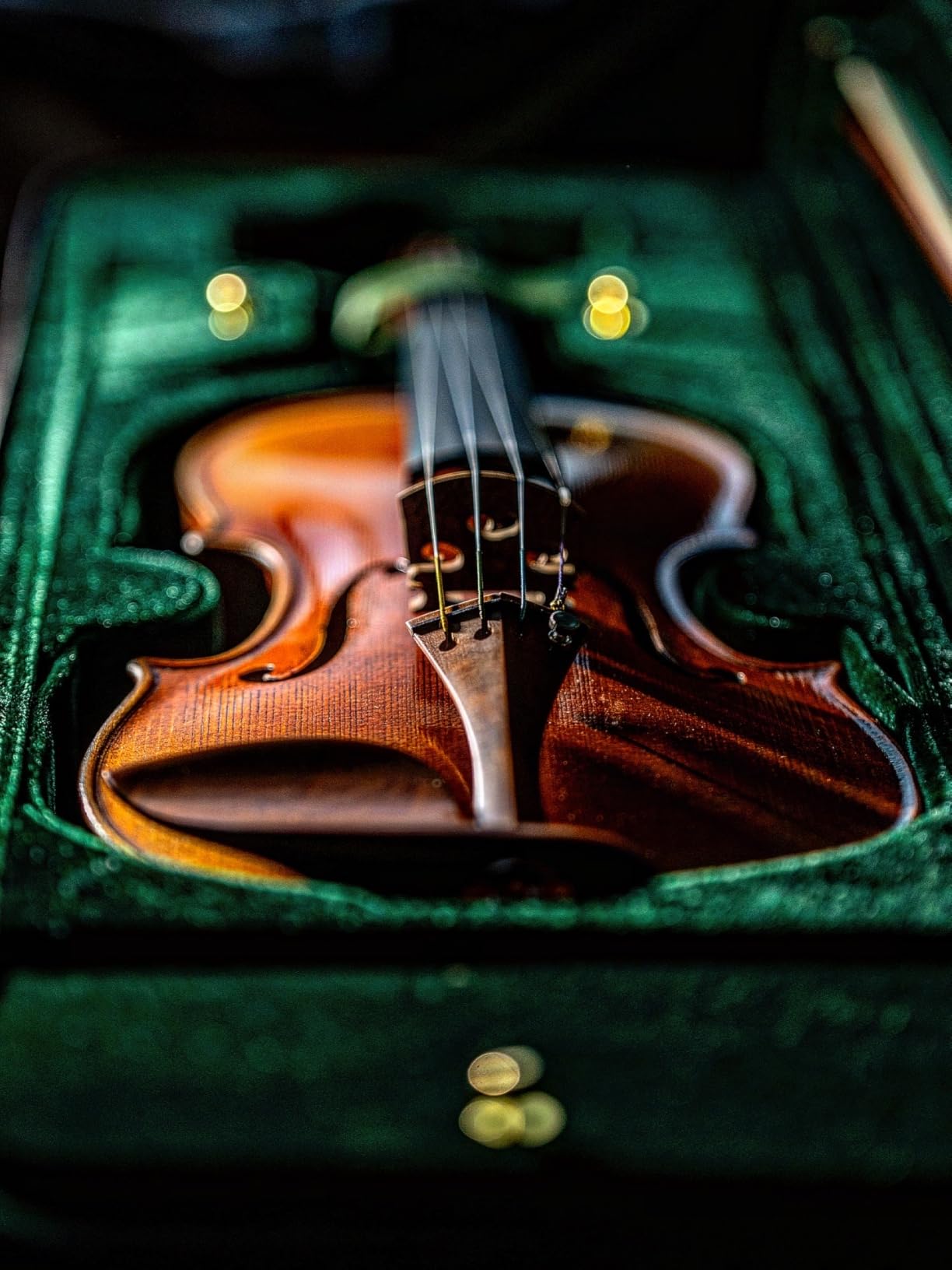 Cremona SV-800 Violin Bundle 4/4 Full Size - Setup, Ready to Play - Case and Accessories - Hand Varnished Select Solid Tonewoods with Relic'd Finish, Ebony Fingerboard and Hill-style Boxwood Fittings customer photo 2