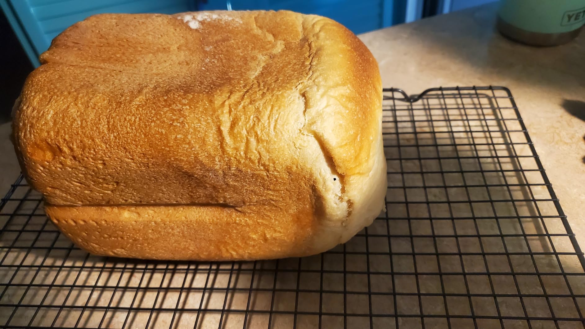 Elite Gourmet Programmable Bread Maker with PFAS-Free CERALAST Ceramic Pan, 2 lb Loaf, 19 Presets incl. Gluten-Free, 3 Sizes, Delay Timer, Steel Gray customer photo 2
