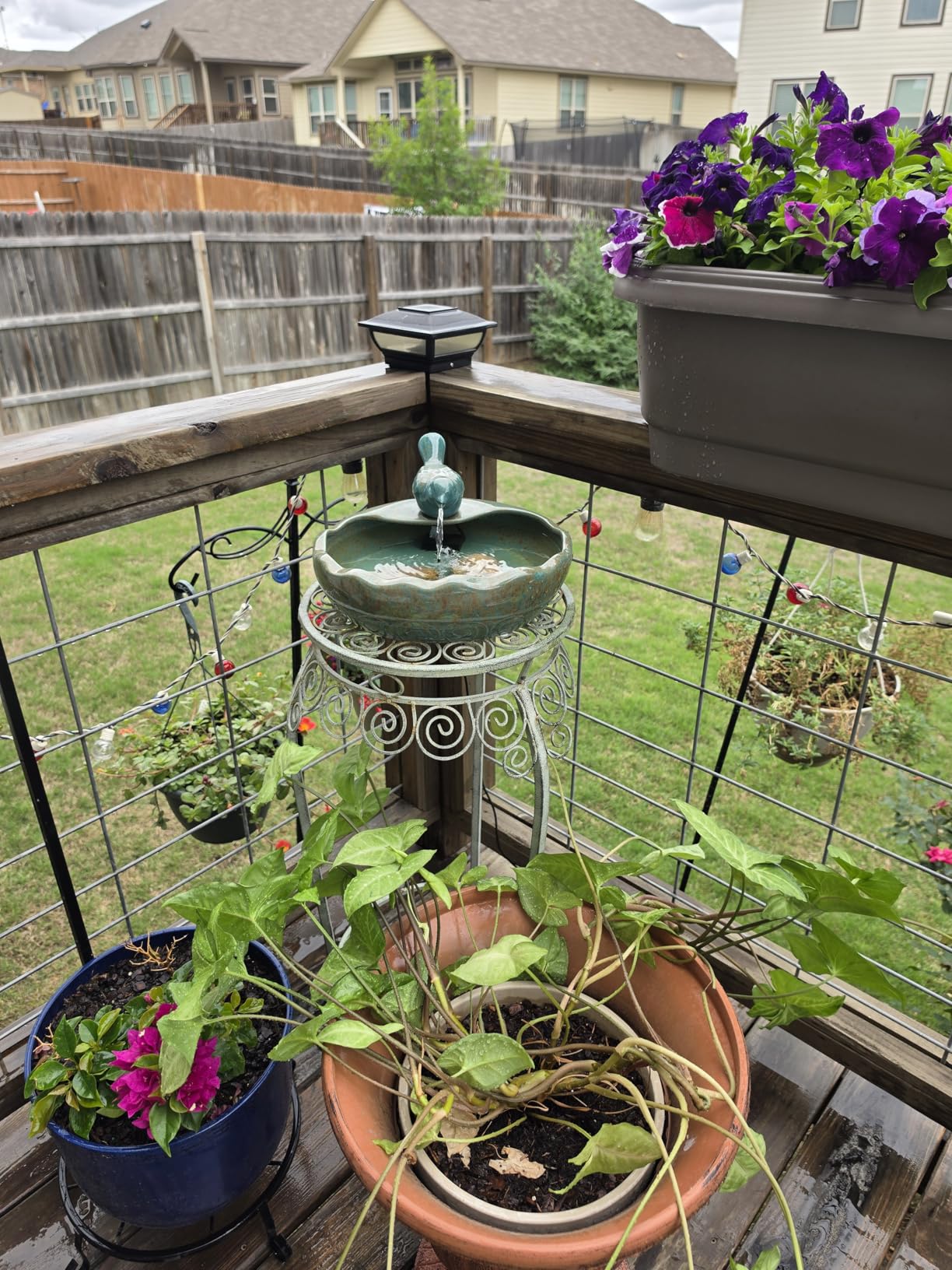 Ceramic Solar Fountain Bird Bath with Battery Backup,Bird Bath for Outside,Bird Bath Bowl for Garden, Patio & Yard Decor,Working at Night for at Least 6 Hours (Bird). customer photo 1