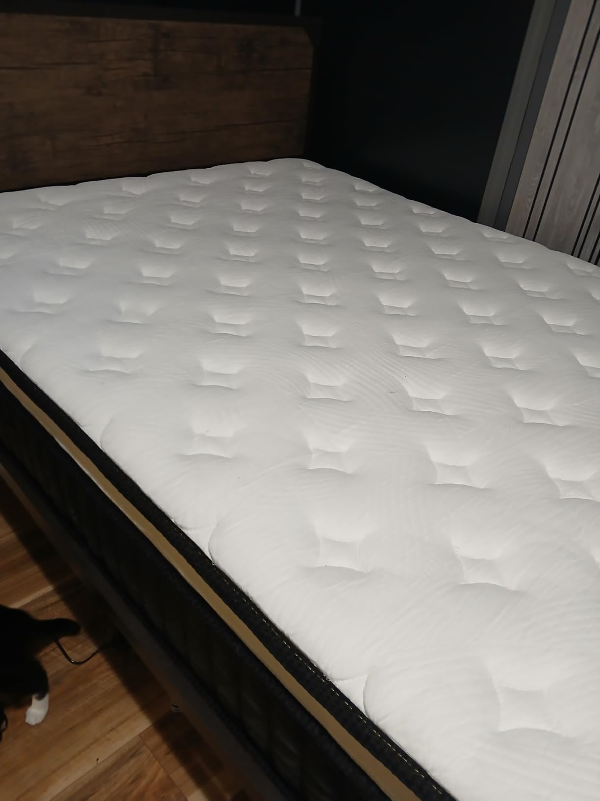12 Inch Queen Mattress, Medium Firm Hybrid Memory Foam, 7-Zone Body Support for Pressure Relief, Motion Isolation, Queen Mattress in a Box, White Breathable Textured Fabric Mattresses customer photo 1