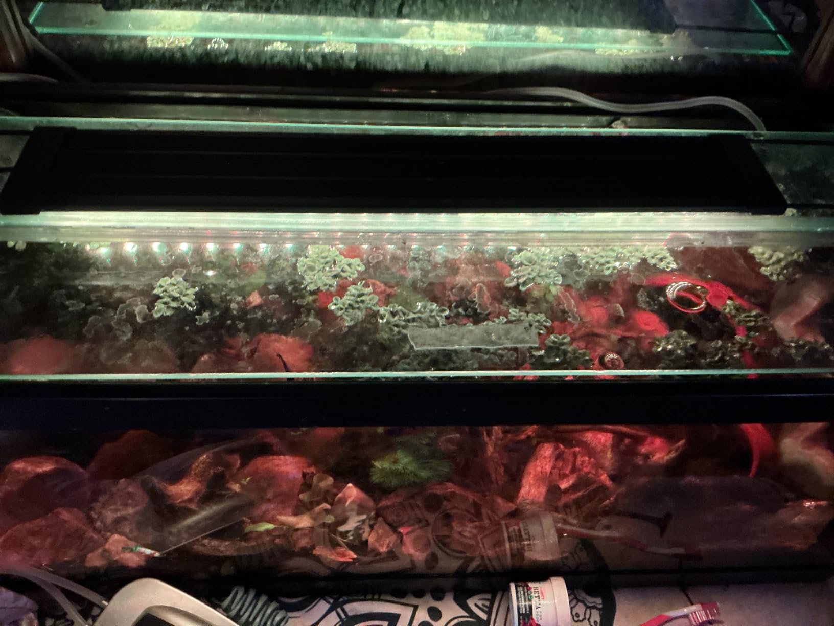 fishkeeper Smart LED Aquarium Light with One-Button Real-Time Sync, 24/7 Mode Full Spectrum Fish Tank Lights, 9 Colors DIY, 9 Timer, 10 Brightness IP68 Waterproof Aquarium Plant Light for 24-32 inch customer photo 1