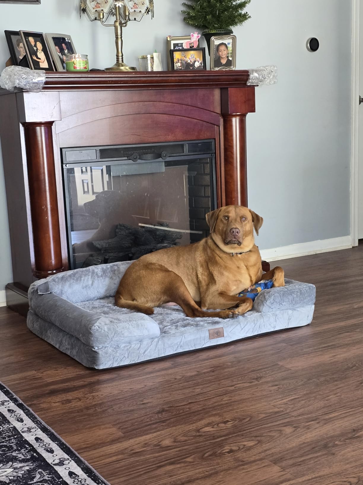 Extra Large Dog Bed, Orthopedic XL Washable Memory Foam Bed for Big Dogs Waterproof Pet Couch Sofa Bolster with Removable Cover, Non-Slip Bottom, Tennis Ball Toy, 42x30 customer photo 1