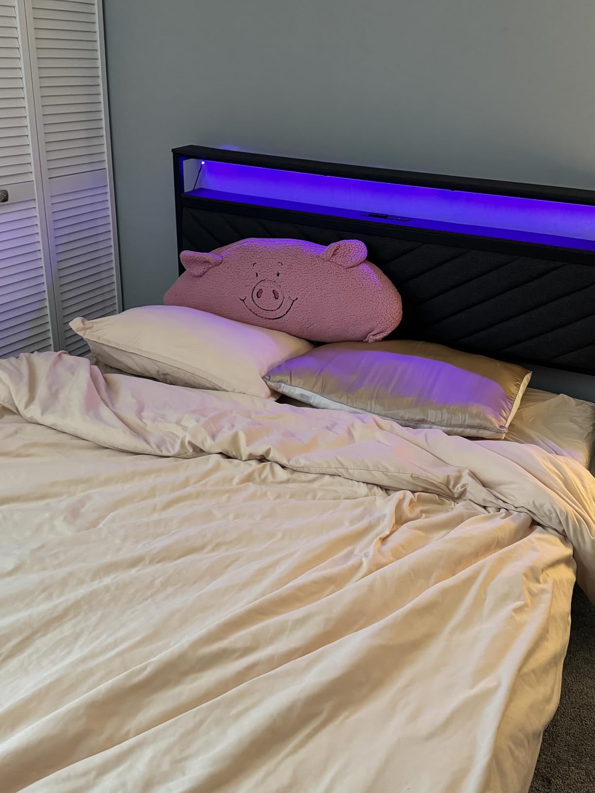 Fluest Twin Bed Frame with Storage Drawers, Upholstered Headboard with Charging Station, LED Lights, Fabric Drawers with Wheels, Under Bed Storage, No Box Spring Needed, Easy Assembly, Grey customer photo 2