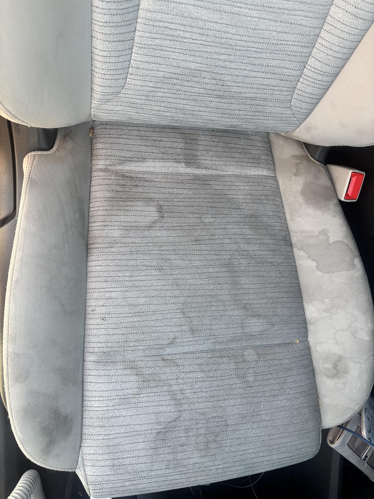 Carpet Cleaner Machine Upholstery - 450W Shampooer Couch Cleaning Portable Vacuum Rug Sofa Car Seat Fabric Mattress Pet Spot Extractor customer photo 1