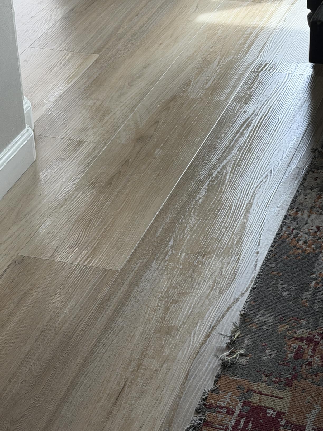 Bissell CrossWave Edge Cordless Plus Wet Dry Vacuum & Mop, Floor Cleaner with ZeroGap Edge Cleaning, Tangle-Free Brush Roll, 4329G customer photo 1