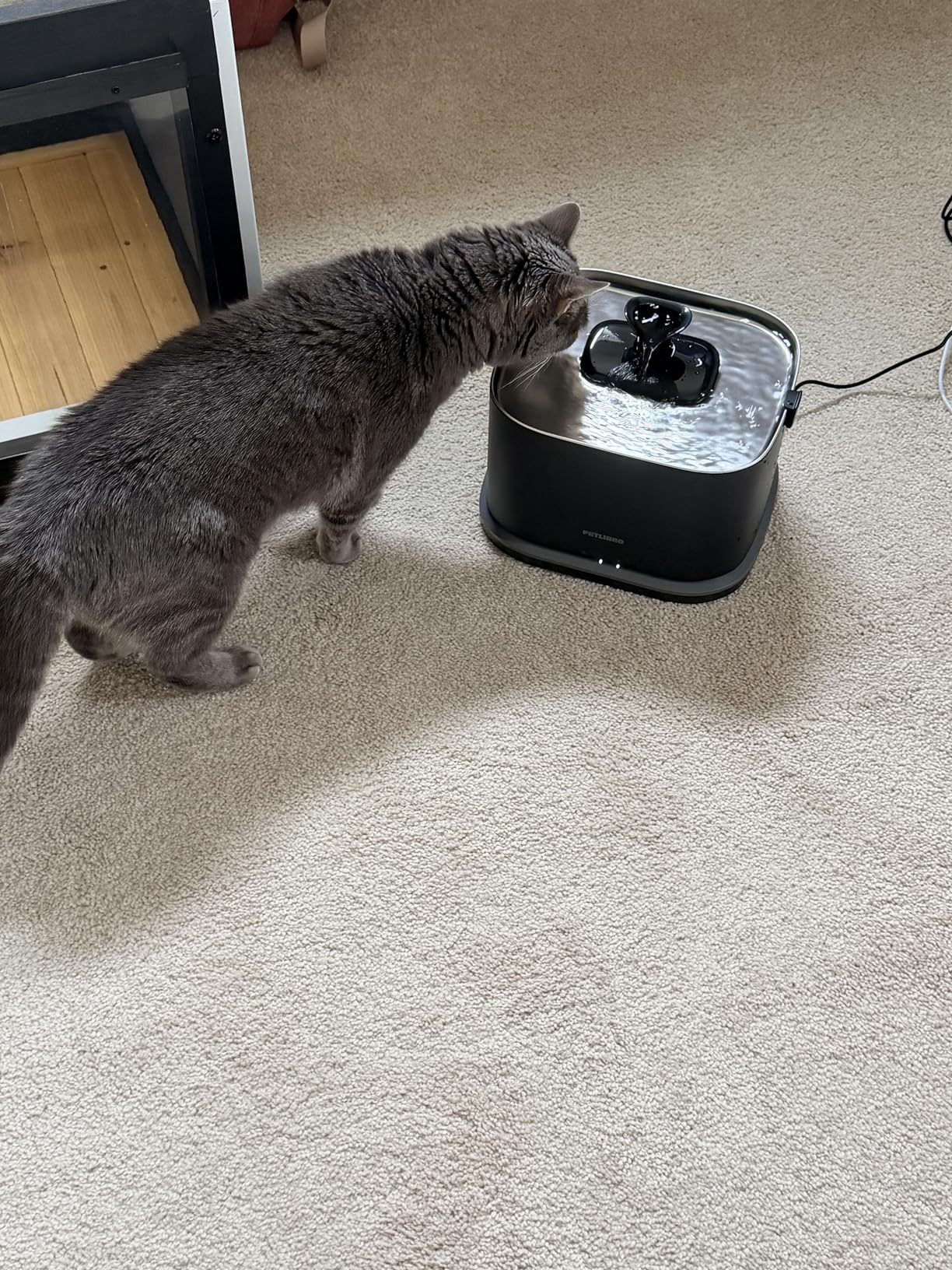PETLIBRO Cats Water Fountain for Multi Cats, Cat Fountain with RFID Recognition Each Pet, 3L/101oz Pump-Free Cat Water Fountain Stainless Steel Tray, 2.4G Wi-Fi APP Pet Water Fountain x2 Collar Tags customer photo 1