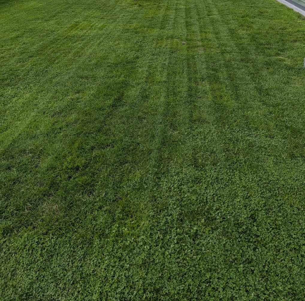MOVA LiDAX Ultra 2000 Robot Lawn Mower with 4G for 0.5 Acre, No Wire No RTK+360 3D LiDAR+AI Vision Auto Mapping, Zero-Edge Cutting, Cut Height 1.2-3.9, 45% Slope, 150 Mowing Zones, Anti-Theft customer photo 1