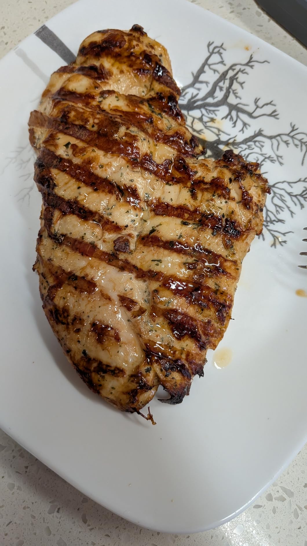 Cuisinart FlavorBoost 8-in-1 Outdoor Electric BBQ Grill & Portable Smoker, Air Fryer Grill Combo with Smart Probe, CEG-1302 customer photo 1
