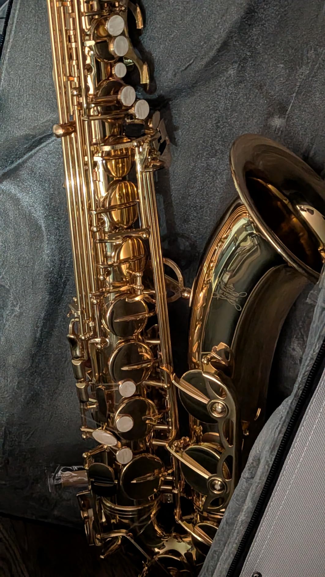 STRICH Eb Alto Saxophone Brass Student Beginner Alto Sax Kit with Hard Case Stand Neck Strap Mouthpiece and Reeds for School Band Home Practice, SSA-31B, Black customer photo 1