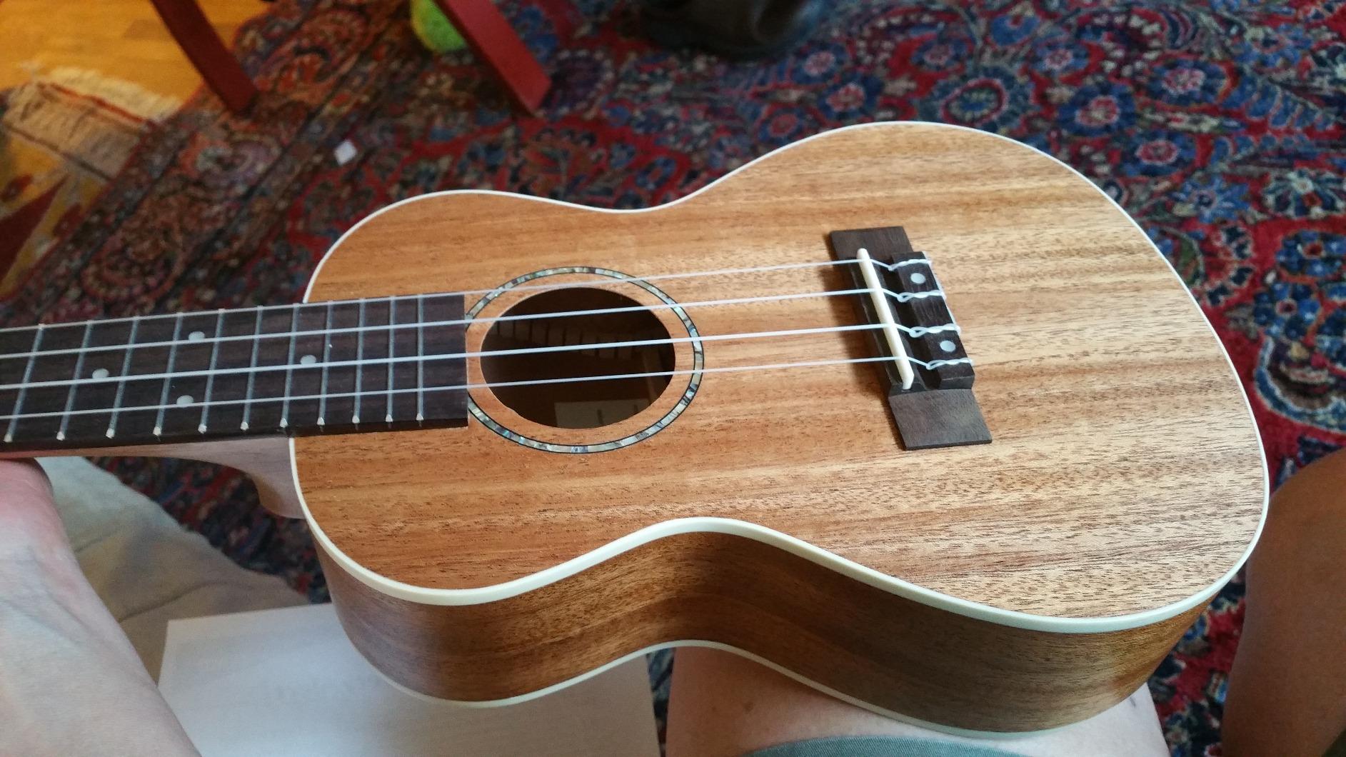 ADM Ukulele Beginner Kit Mahogany Hawaiian Wood Ukelele Bundle Ukalalee Set with Uke Free Starter Lessons for kids Students and Adults, Yellow Brown (Black-Sapele, 21 Inch) customer photo 2