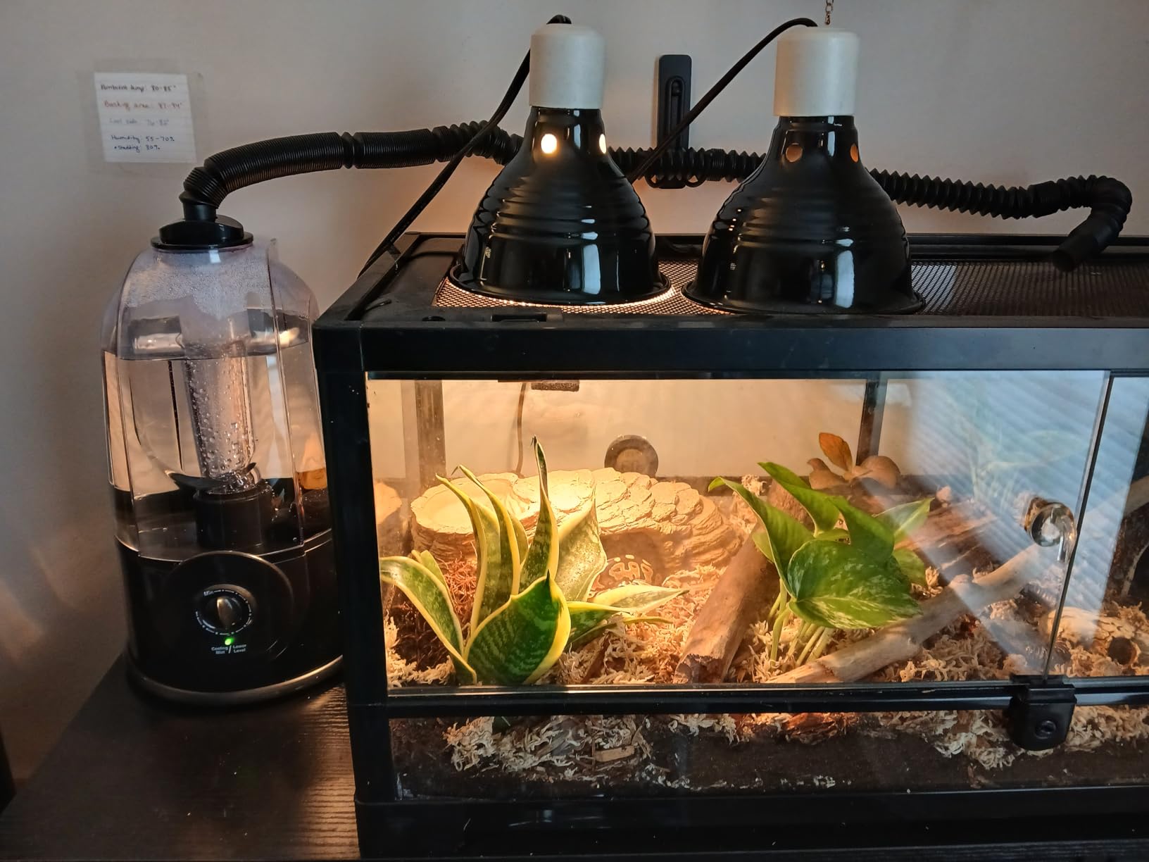 Coospider Reptile Fogger Humidifier, Automatic Humidifiers for Reptiles Tank, Terrarium Humidifiers with Dual Hose Timer Humidity Control, Reptile Mister for Amphibians Herps Vivarium (5L/1.32Gallon) customer photo 1