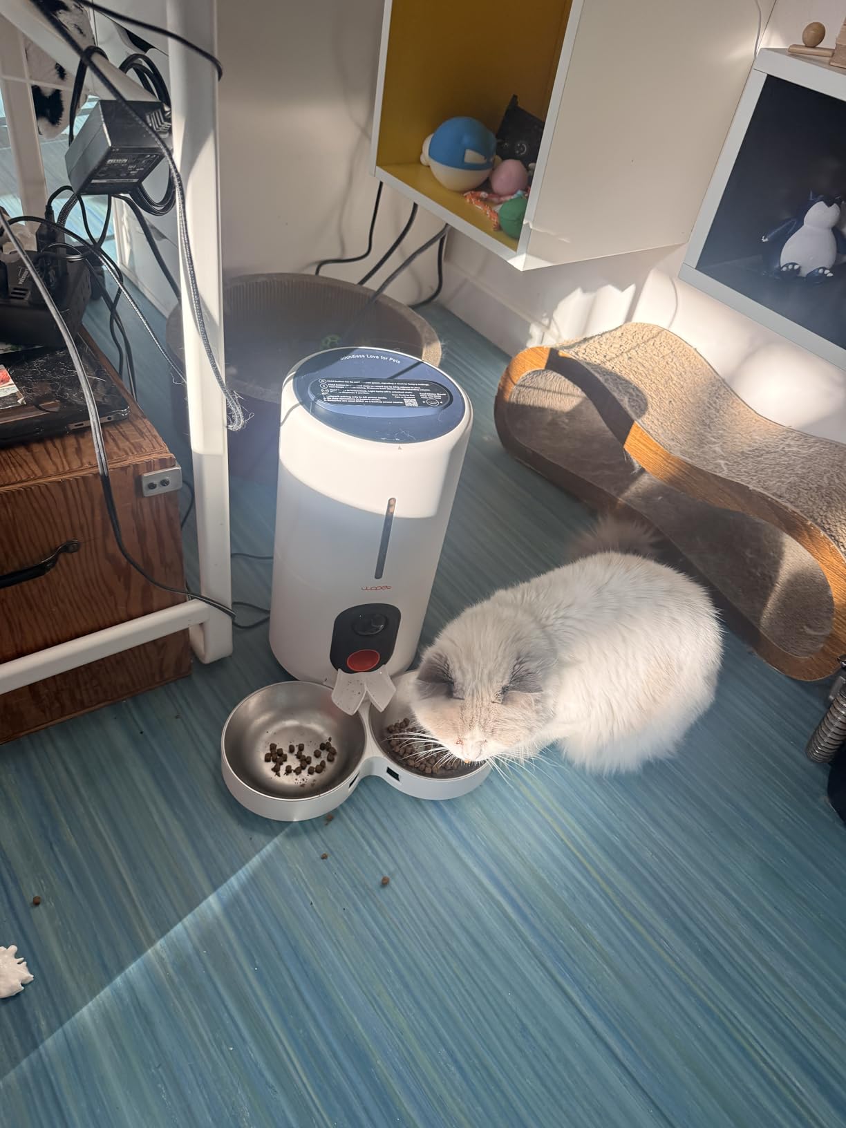 WOPET Automatic Dog Feeder with Camera,1080P HD Video with Night Vision, 5GHz/2.4GHz Dog Food Dispenser with App Control, 4GB SD Card, 2-Way Audio for Cats & Dogs customer photo 1