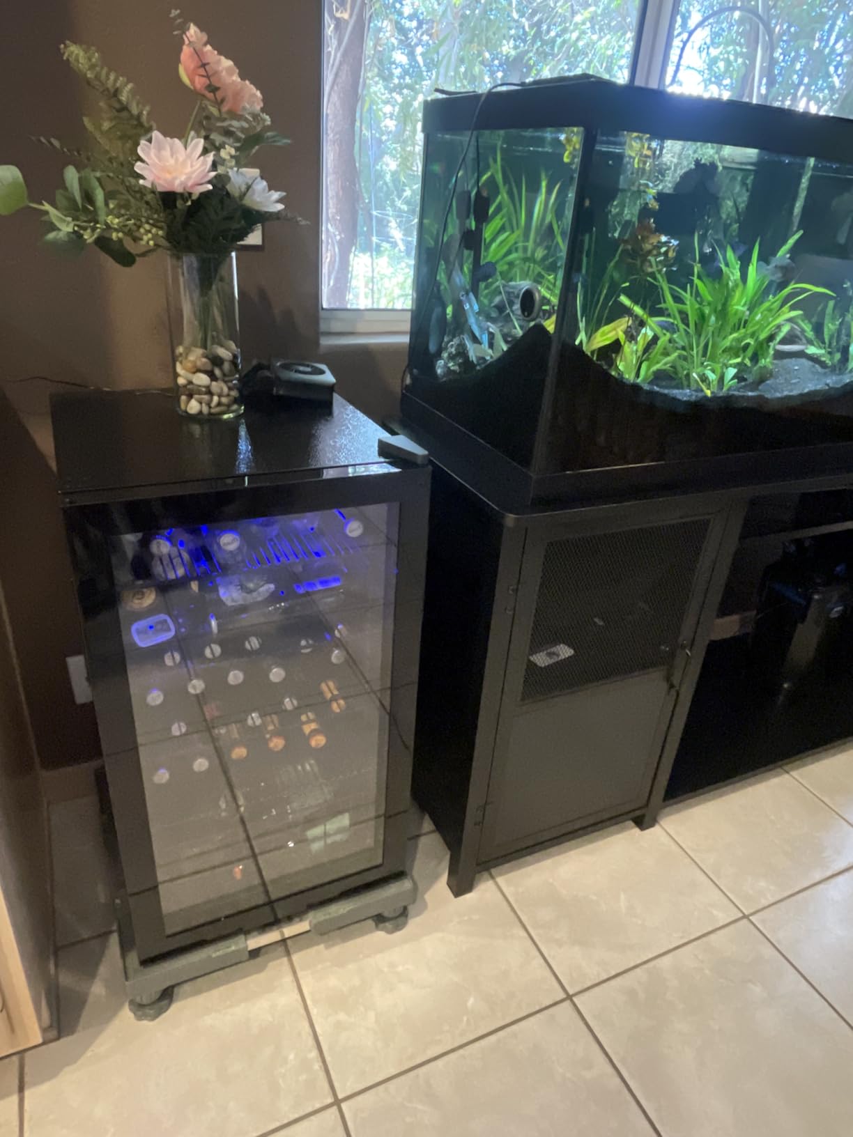 24 Inch Wine Cooler & Fridge Under Counter, 54 Bottle Dual Zone Wine Cooler, New Upgrade Compressor, Blue Light Built-in/Freestanding, Reversible Stainless Steel Door Wine Fridge for Home/Kitchen customer photo 1