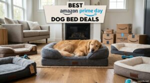Best Amazon Prime Day Dog Bed Deals