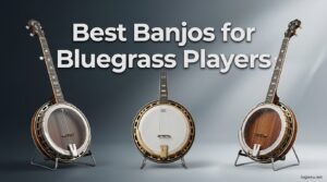 Best Banjos for Bluegrass Players