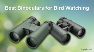 Best Binoculars for Bird Watching