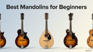 Best Mandolins for Beginners