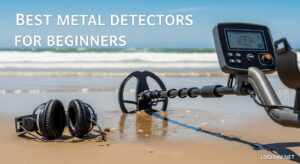 Best Metal Detectors for Beginners