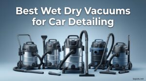 Best Wet Dry Vacuums for Car Detailing