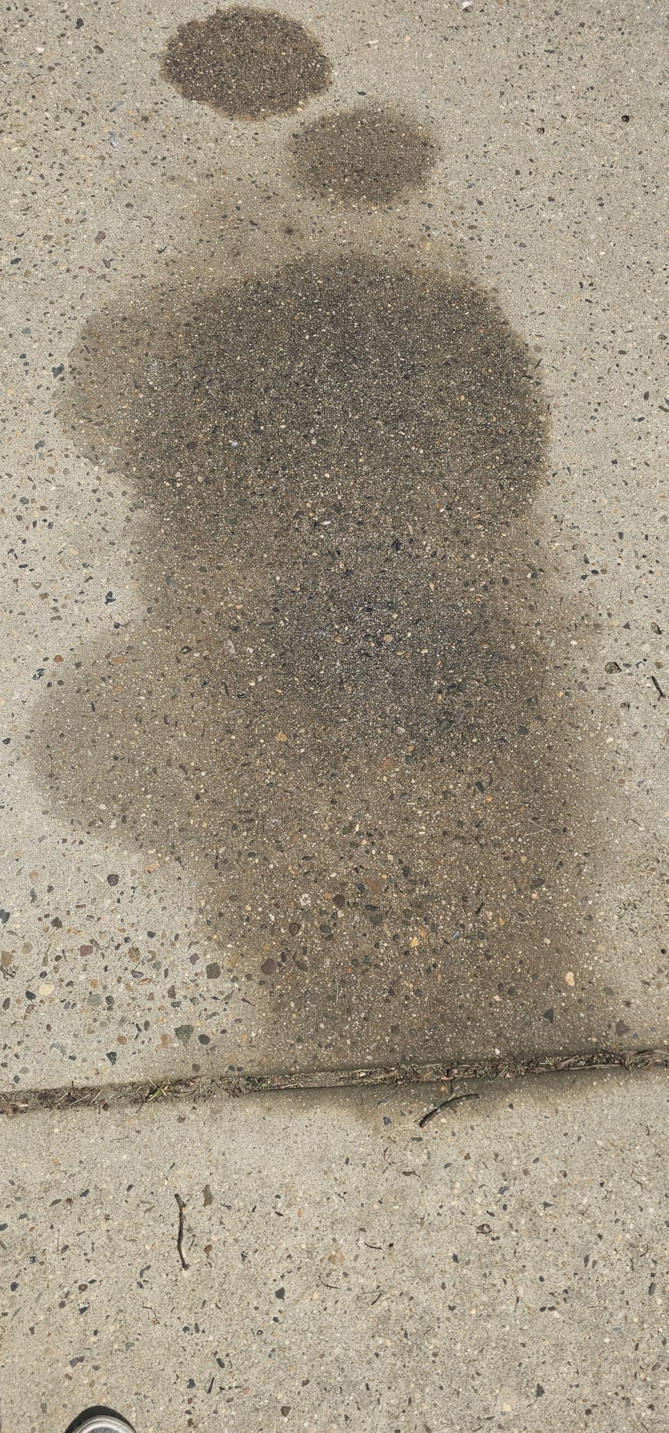 CHOMP! Concrete Oil Stain Remover: Pull It Out Removes and Cleans Oils, Greases from Garage Floors & Driveways, 32 Fl Oz customer photo 2