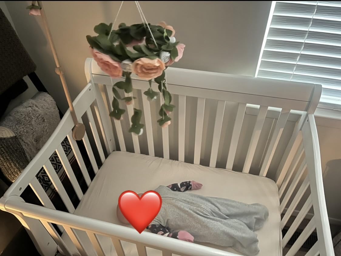Dream On Me Aden 4-in-1 Convertible Mini Baby Crib, GREENGUARD Gold & BSA Certified, Sustainable Pinewood, Non-Toxic Finish, 3 Mattress Heights, Converts to Mini Day & Twin-Size Bed - Grey customer photo 2