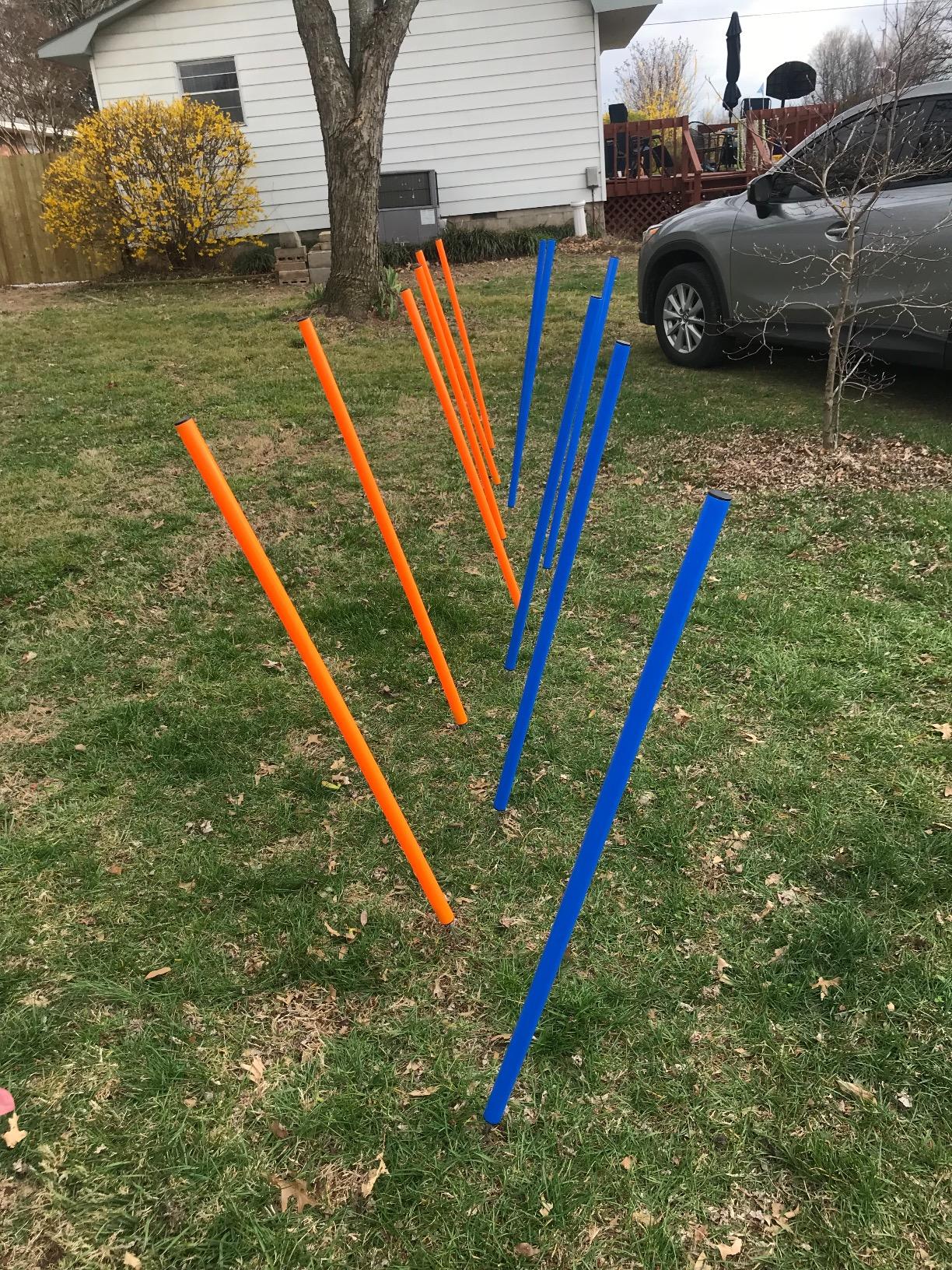 PAWISE Dog Agility Training Equipment, Pet Training Hurdles & Weave Poles Set with Adjustable Jump Bar, Outdoor Dog Obstacle Course for Backyard Exercise customer photo 1
