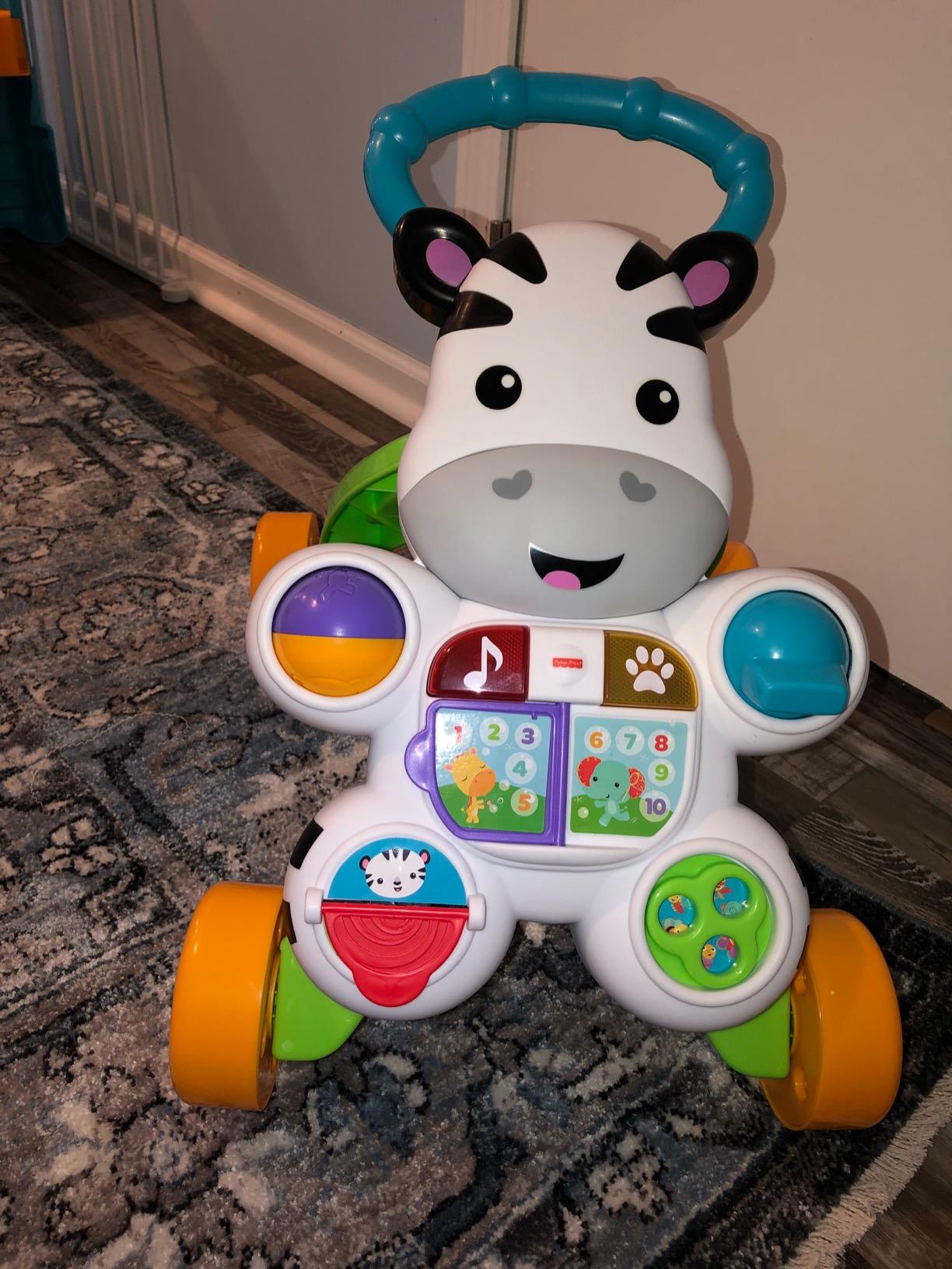 Fisher-Price Baby Push Toy Learn with Me Zebra Walker Musical Learning Activity with Lights & Fine Motor Play for Infants Ages 6+ Months customer photo 1