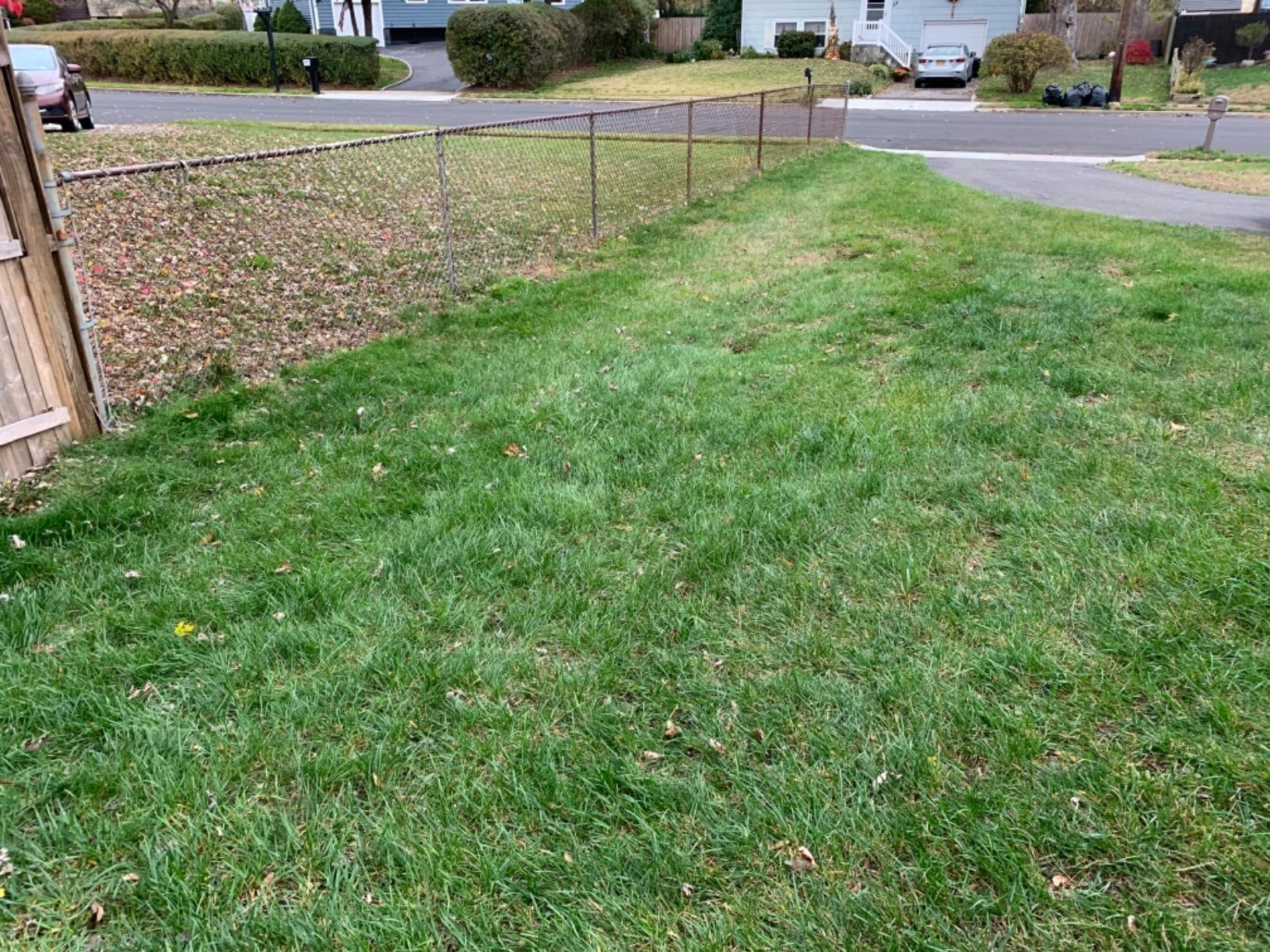 Scotts Outdoor Power Tools LSW70026S 26-Inch Push Lawn Sweeper customer photo 1