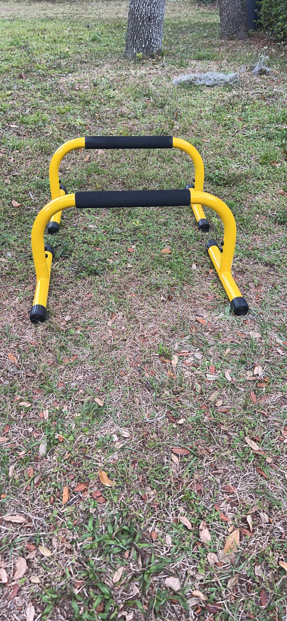 Lebert Fitness Parallette Push Up Bars Dip Station Stand - Perfect for Home and Garage Gym Exercise Equipment - Gymnastics, Calisthenics, Strength Training Parallel Bars for Men and Women customer photo 1