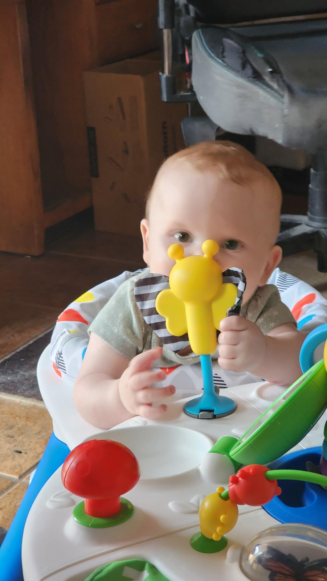 Baby Einstein 4-in-1 Activity Center & Walker with Piano, Age 6M+ | 4 ways to grow: walker, discovery table, art table & floor play customer photo 1