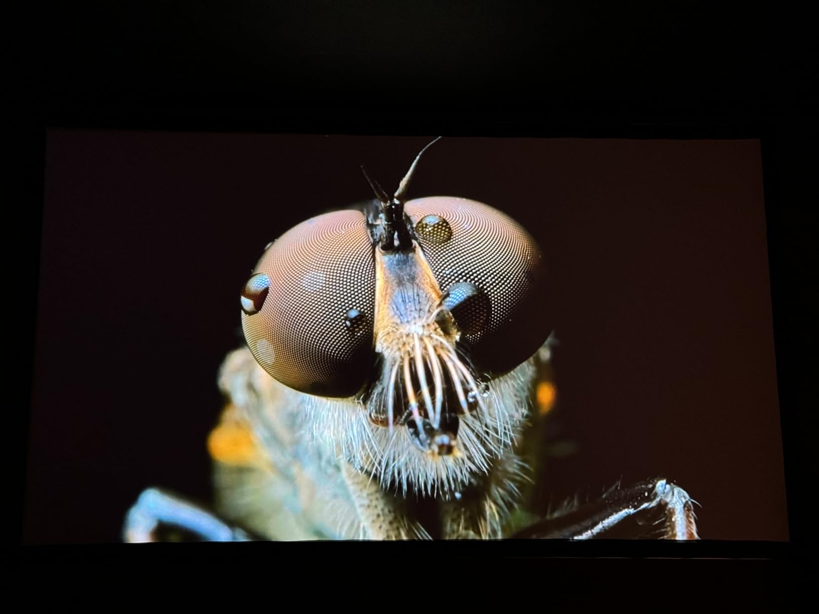 Epson Home Cinema LS11000 4K PRO-UHD Laser Projector customer photo 1